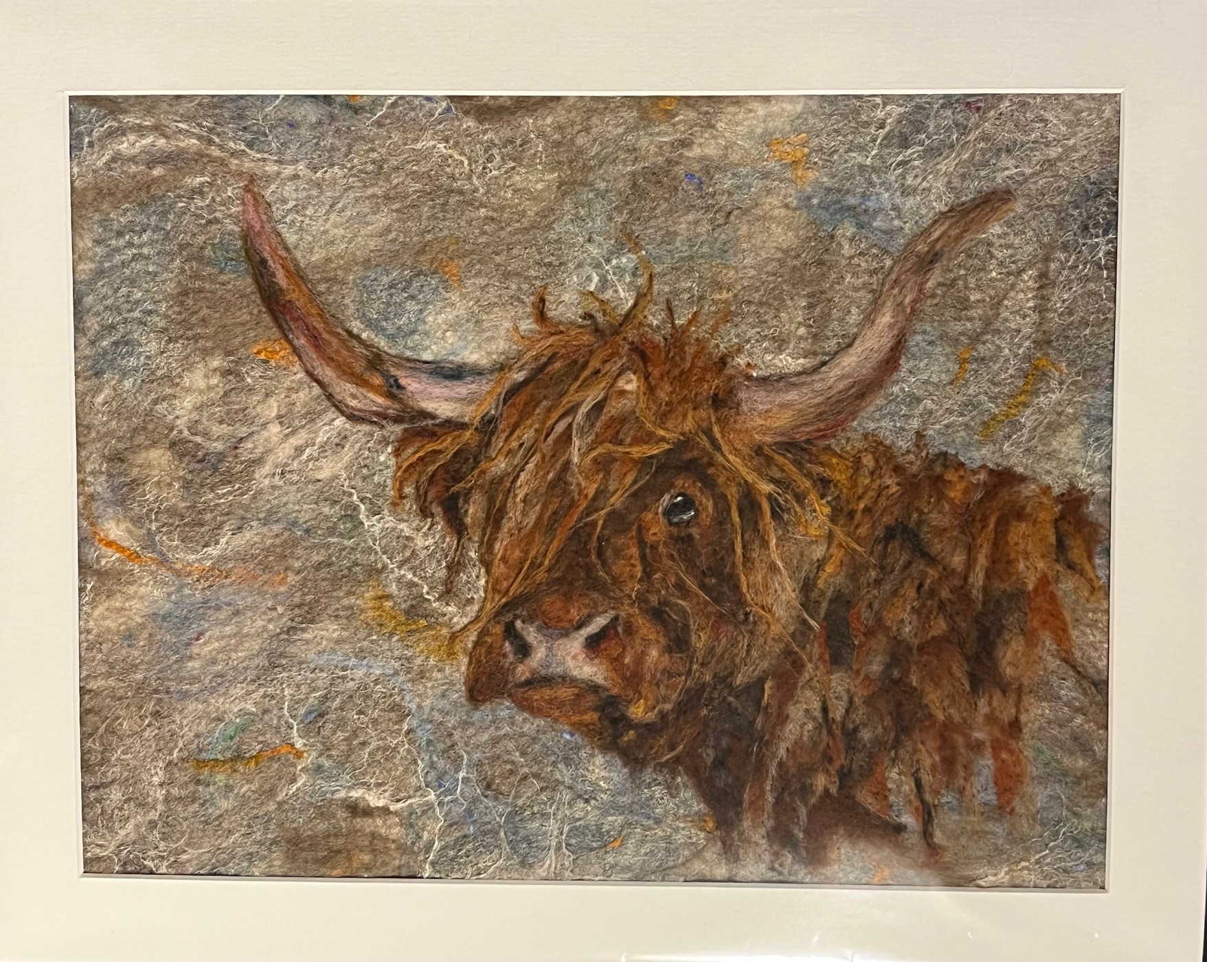 Highland Cow